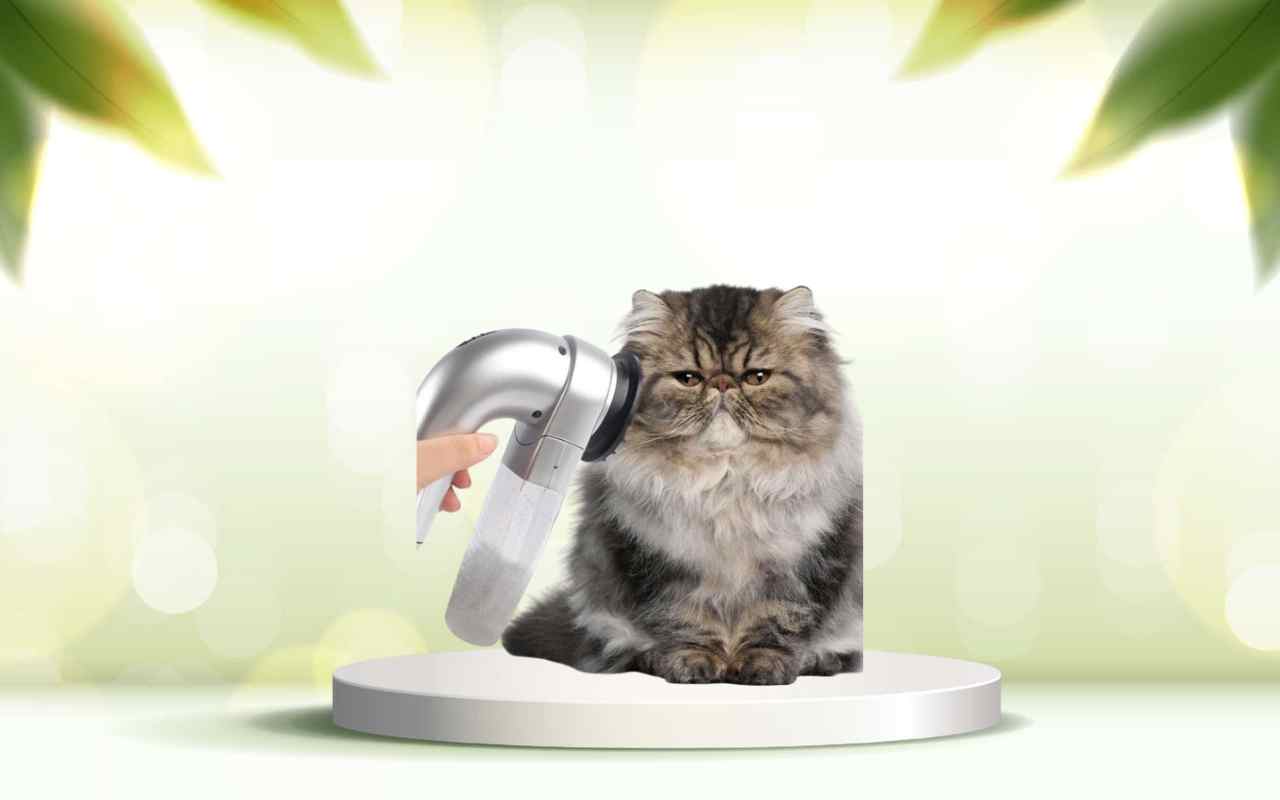 Scopri SpazzolAmica: la soluzione pratica per eliminare i peli degli animali